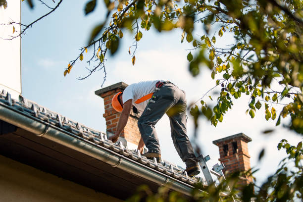 Best Green or Eco-Friendly Roofing Solutions  in Defiance, OH