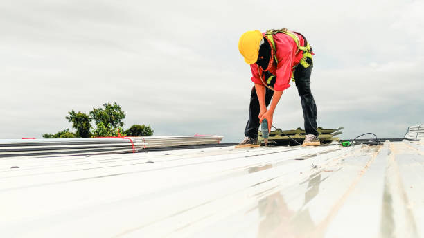 Best Roof Moss and Algae Removal  in Defiance, OH